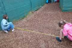 IMG-20250603-WA0018