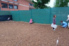 IMG-20250603-WA0035