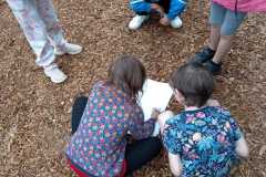 IMG-20250603-WA0043