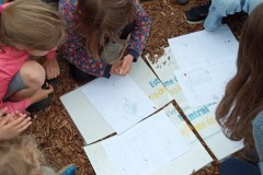 IMG-20250603-WA0048