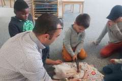oct-rupestre2022-06